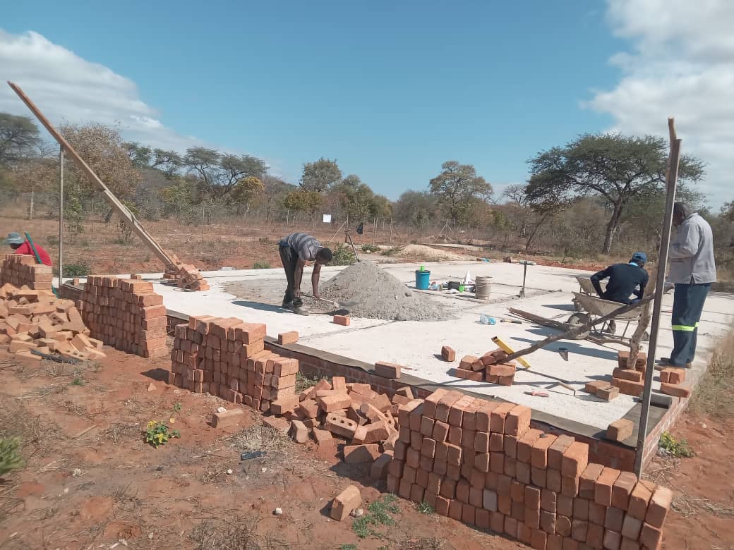 Project in Progress 2